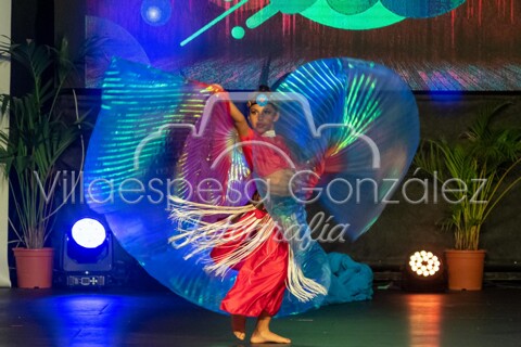 Actuaciones - Estilo Libre 