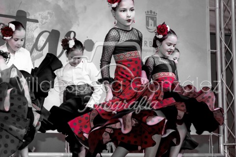 2018.06.07 Actuación Feria Marbella Noche