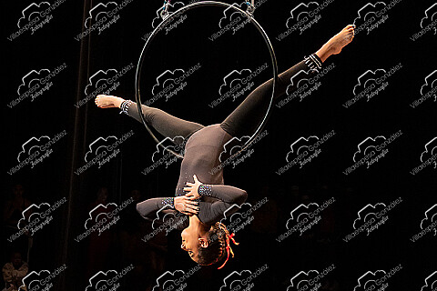 Gala 1 - Actuaciones 