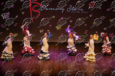 Gala 13 - Escenario